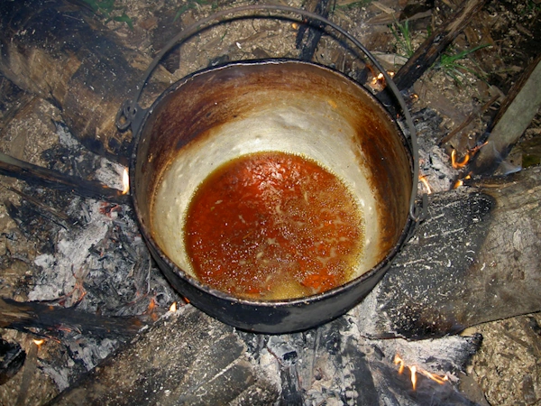 Ayahuasca Brazil