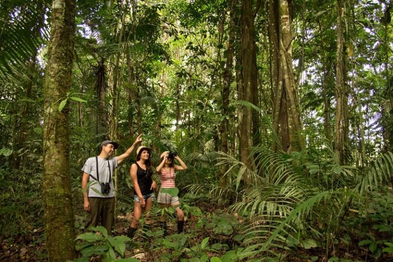 Ecotourism in the Amazon